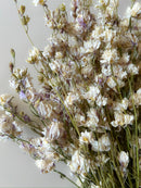 Dried Larkspur Smokey Eyes