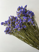 Dried Flowers-Statice Blue