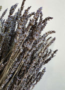 Dried Lavender - French