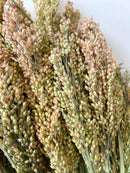 Dried Proso Millet