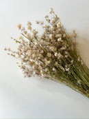 Dried Larkspur Smokey Eyes