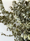Dried Eucalyptus-Spiral