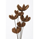A bunch of preserved Amazonian lilies with a natural brown color.