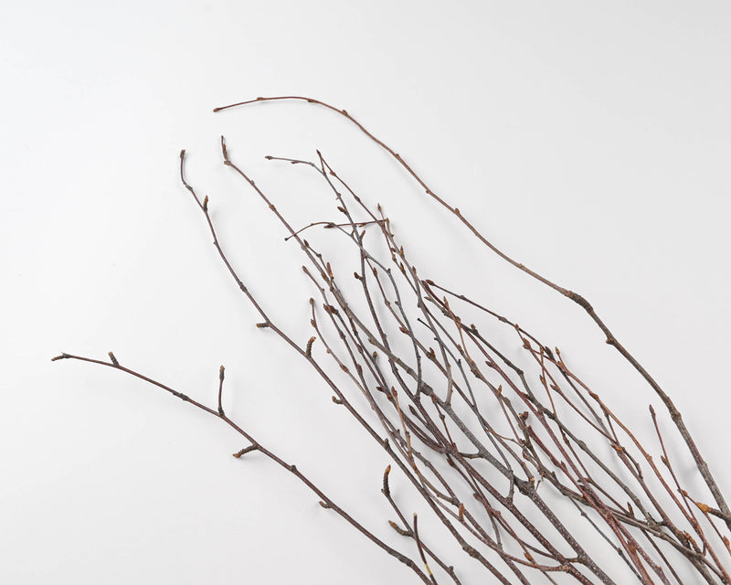 Floral Kit - Birch Branches with Millet