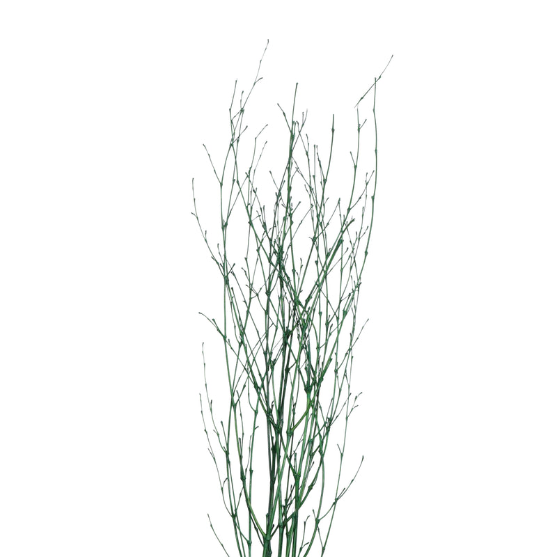 Bamboo Spray Decorative Branches | 12 Bunches | Color Options Available