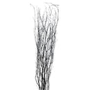 A bunch of dyed black bamboo spray decorative branches against a white background.