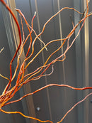 Curly Willow Bunch - Golden