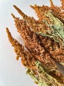 Dried Amaranth Tan