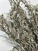 Dried Artemisia Silver King