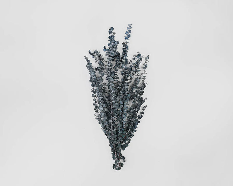 27-inch Red Bamboo Floor Vase with Preserved Blue Eucalyptus Branches
