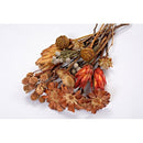 A bunch of assorted exotic plants and flowers, predominantly in shades of brown and beige, against a white background.