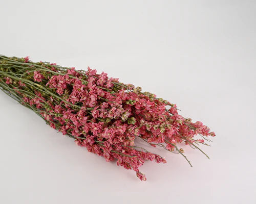 Curly Willow Branches with Dried Pink Larkspur Flowers