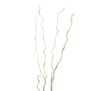 Bleached dried corkscrew willow branches with natural curly shapes in bulk bunch.