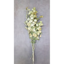 Bundle of natural dried Lunaria branches with translucent seed pods, wholesale bulk display.