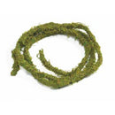A looped piece of preserved moss vine against a white background.