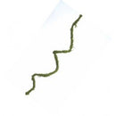 Natural dried preserved moss vine in deep green, ideal for wholesale bulk floral supplies, 5-6 inches long.