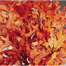 Preserved Rust Oak Leaves | 25 Pound | Rust