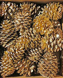 Bulk dried natural ponderosa pinecones painted gold in a wholesale box.