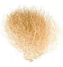 Giant Western Tumbleweed Single Plant | Natural