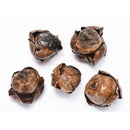 A collection of dried palm fruit bunches with visible stems on a white background.