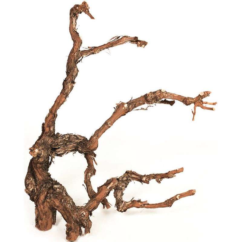 Grapewood Branches  | Natural