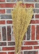 Dried Linium Bunch | 12 Bunches | Natural Yellow