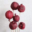 Dried Pomegranates Stemmed | 12 Bunches