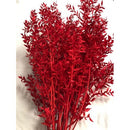 A bunch of red ruscus dried plants arranged vertically.