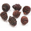 A collection of brown spiral cone heads, likely pinecones, arranged on a neutral background.
