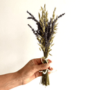 Hand holding small natural dried lavender and avena bulk flower bunch tied with twine.