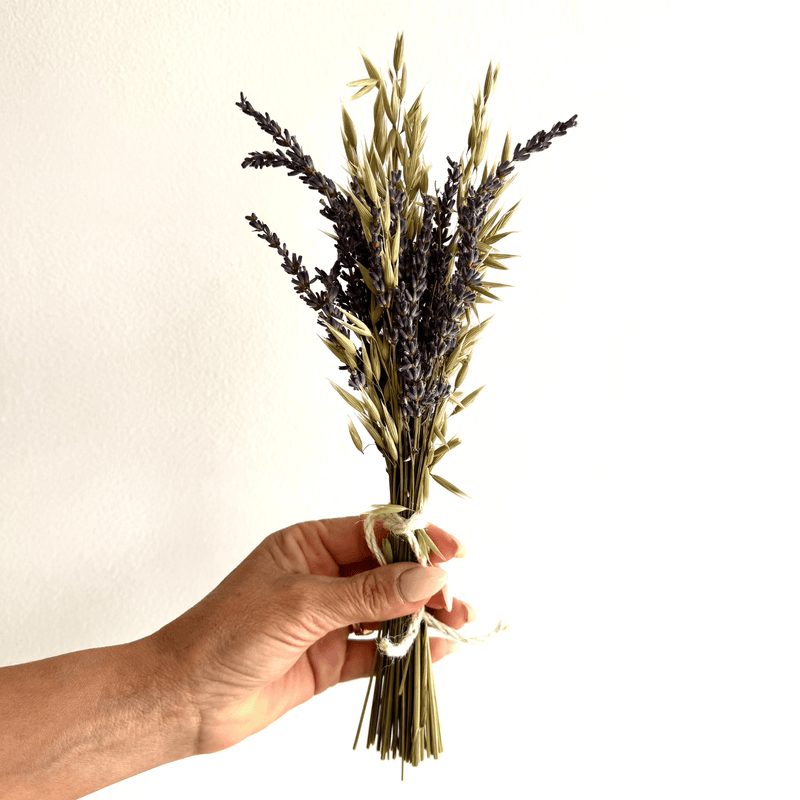 lavender flower bunch lavender dried flower bunch and bundle