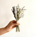 Hand holding a small dried lavender and white flowers bunch tied with natural twine, wholesale bulk arrangement.