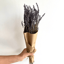Bouquet of dried lavender wrapped in brown paper held by a hand against a white background