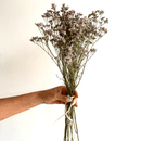 Hand holding a bouquet of dried flowers against a plain background