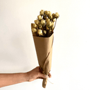 Hand holding brown paper-wrapped bouquet of natural dried cream spray rose flowers for wholesale bulk sale.