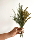 Hand holding a small bundle of natural dried green and yellow wildflowers tied with twine.