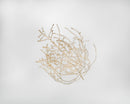 Natural dried baby tumbleweed with thin, intricate branches, available for wholesale bulk decor.