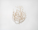 Natural dried baby tumbleweed with delicate branching stems, ideal for wholesale bulk decor.