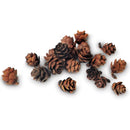 Natural brown dried pinecones in bulk scattered on white background.