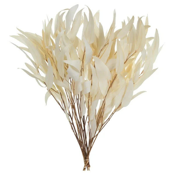 Preserved Willow Eucalyptus Bunch | 20 Bunches | Bleached White