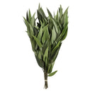 Bundle of dried natural green eucalyptus branches tied together, ideal for wholesale or bulk use.