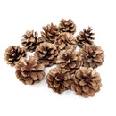 Natural brown dried pinecones in a bulk cluster, perfect for wholesale crafting and decor.