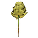 A single stem of a dried basil queen flower with a rich green color and textured leaves against a white background.