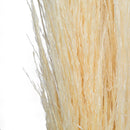 Bundle of 46-inch dried pampas grass stems in natural bleached color, wholesale bulk quantity.