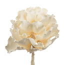 Bleached natural dried flower with delicate ruffled petals, wholesale bulk stems.