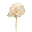 A single bleached queen flower stem against a white background.