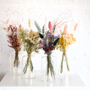 Four glass vases with dried floral arrangements on a white surface.