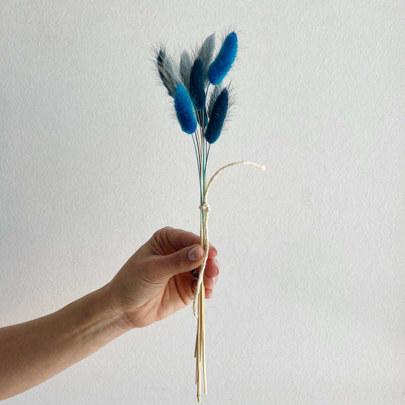 Hand holding a small bundle of dried bunny tail grass in blue and neutral tones with string tie.