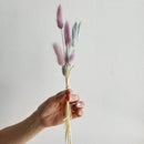Hand holding a small bundle of dried natural bunny tail grass in pastel pink and blue tones.