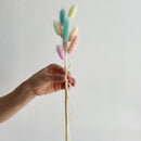Hand holding a small bundle of pastel-colored dried bunny tail grass with natural stems against a light background.